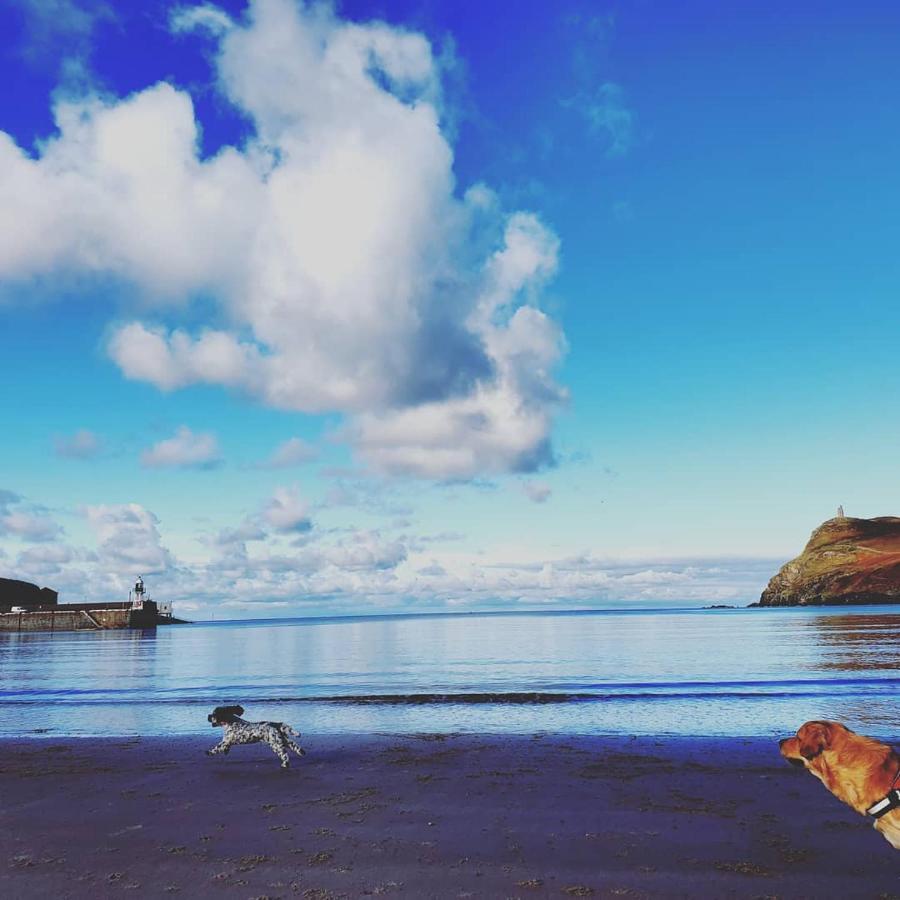 Gorgeous Cottage By Sandy Beach Dog Friendly Port Erin Dış mekan fotoğraf